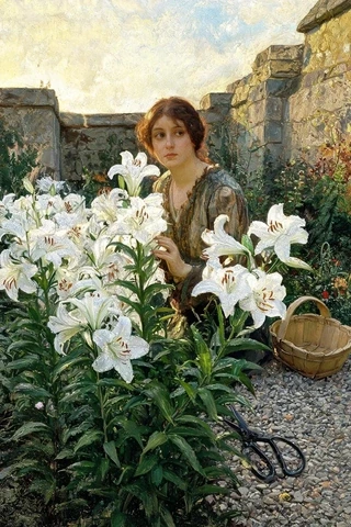 Lilly historical or symbolic source image